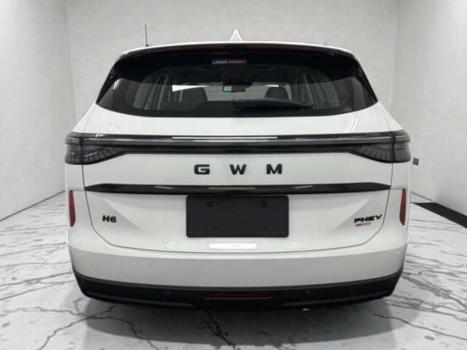 GWM Haval H6 1.5 16V 4P PHEV19 AWD E-TRACTION AUTOMÁTICO, Foto 6