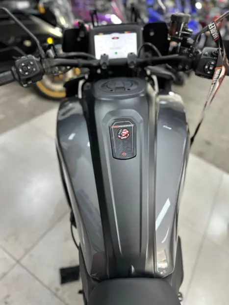 HARLEY DAVIDSON Pan America 1250 , Foto 3