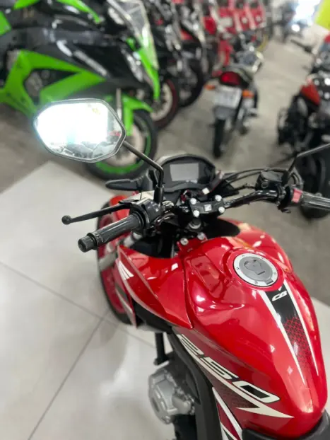 HONDA CB 250 F Twister FLEXONE, Foto 2