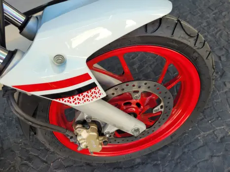 HONDA CB 250 F Twister FLEXONE, Foto 3