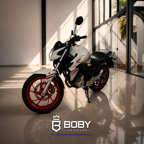 HONDA CB 250 F Twister FLEXONE, Foto 4