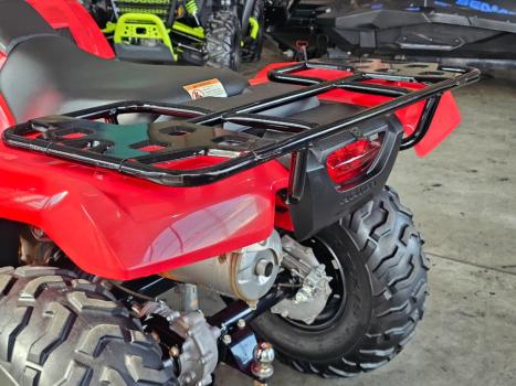 HONDA Four Trax 420, Foto 8
