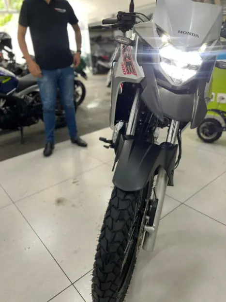 HONDA XRE 300 ABS, Foto 10