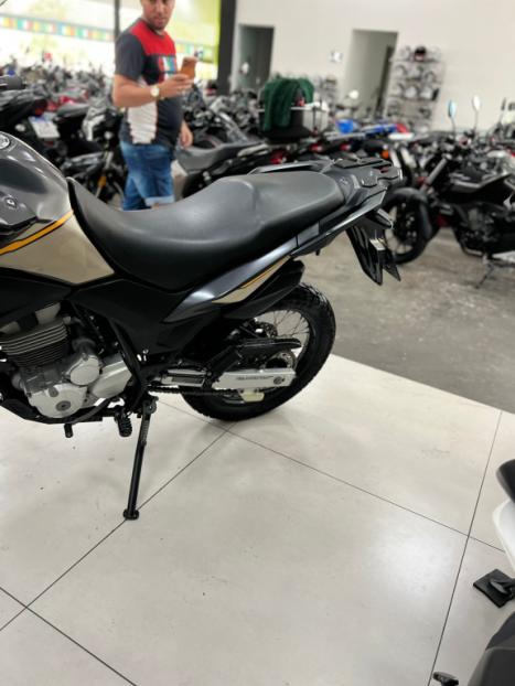 HONDA XRE 300 ADVENTURE, Foto 4