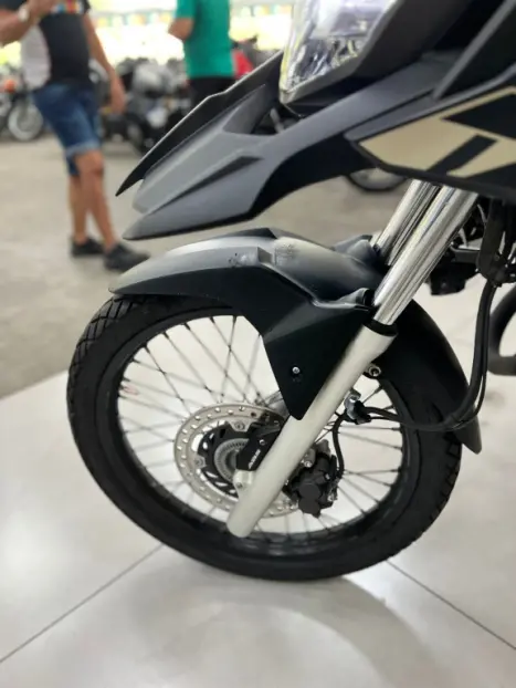 HONDA XRE 300 ADVENTURE, Foto 10