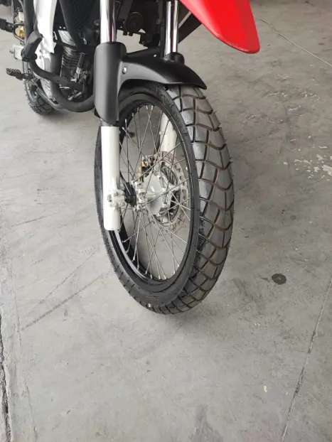 HONDA XRE 300 RALLY ABS, Foto 6