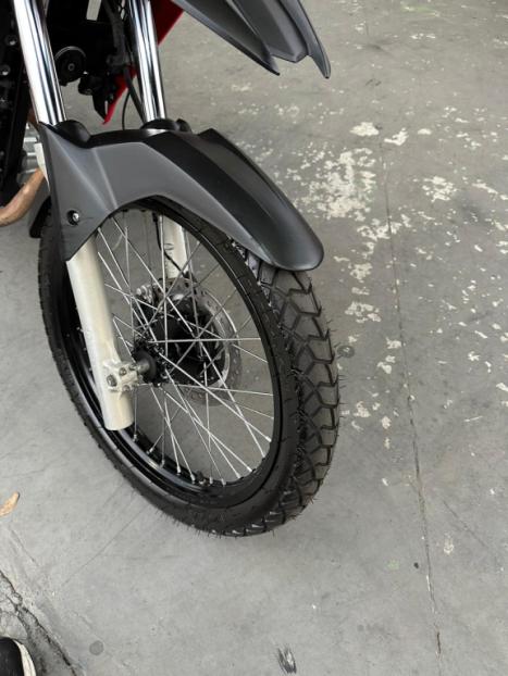 HONDA XRE 300 RALLY ABS, Foto 7