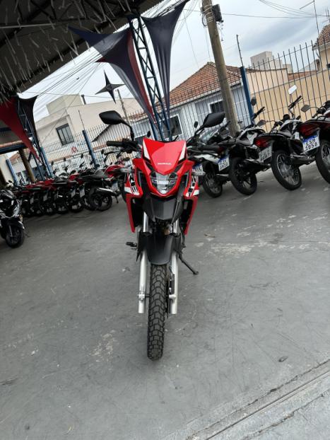 HONDA XRE 300 RALLY ABS, Foto 7