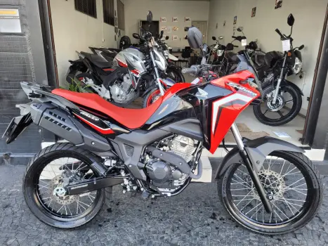 HONDA XRE 300 Sahara RALLYE, Foto 8