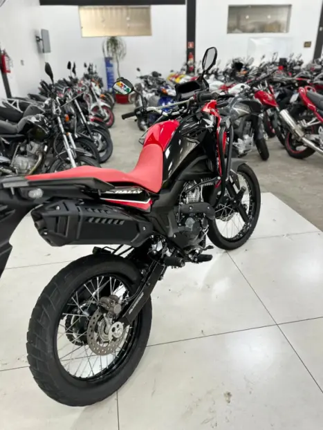 HONDA XRE 300 Sahara RALLYE, Foto 11