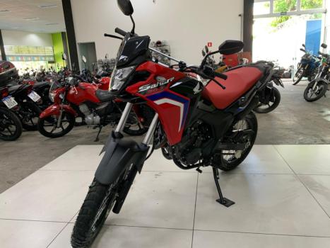 HONDA XRE 300 Sahara RALLYE, Foto 2