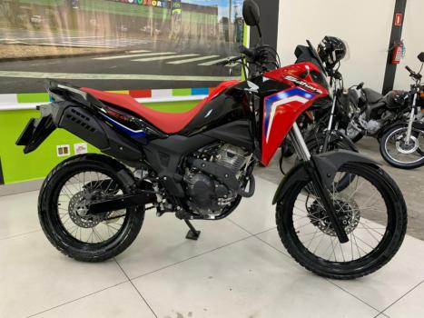 HONDA XRE 300 Sahara RALLYE, Foto 12