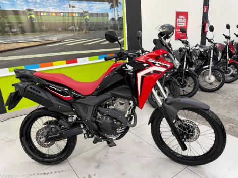 HONDA XRE 300 Sahara RALLYE, Foto 11