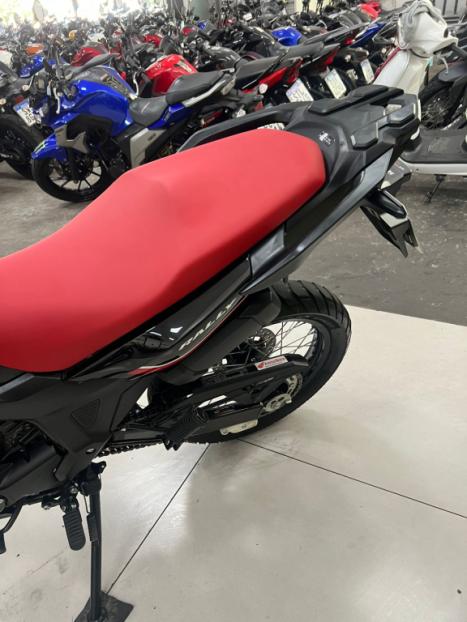 HONDA XRE 300 Sahara RALLYE, Foto 4