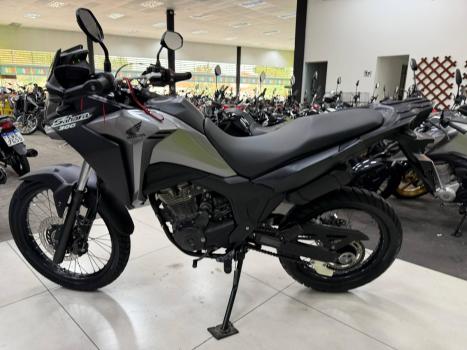 HONDA XRE 300 Sahara , Foto 15