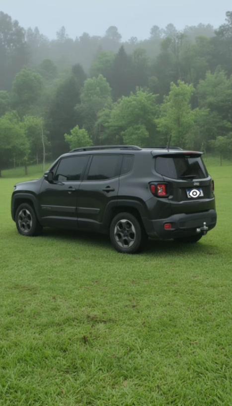 JEEP Renegade 1.8 16V 4P FLEX SPORT AUTOM�TICO, Foto 3