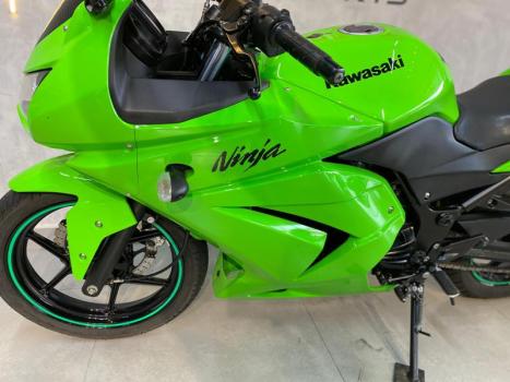 KAWASAKI Ninja 250 R, Foto 3