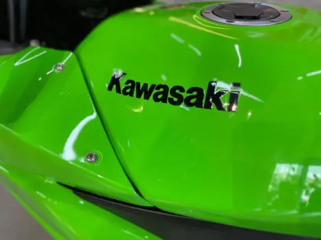 KAWASAKI Ninja 250 R, Foto 11