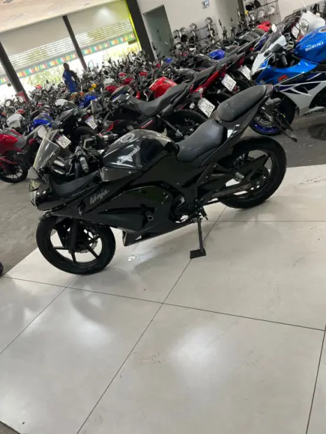 KAWASAKI Ninja 250 R, Foto 14