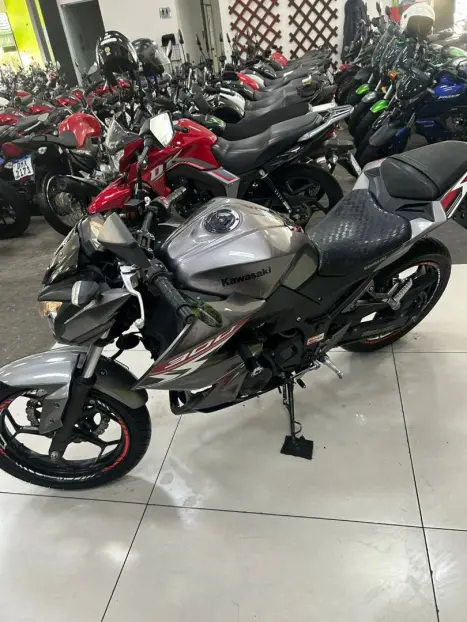 KAWASAKI Ninja 300 , Foto 2