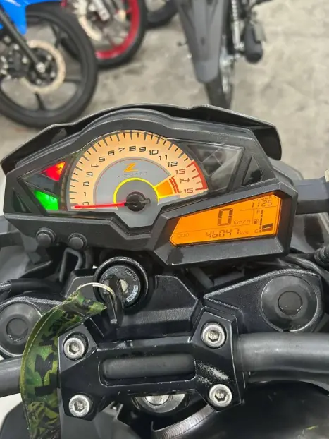 KAWASAKI Ninja 300 , Foto 3
