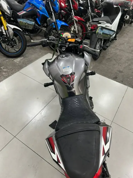 KAWASAKI Ninja 300 , Foto 5