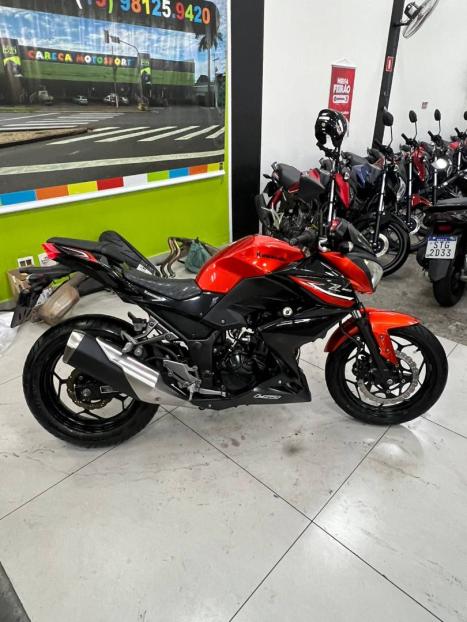 KAWASAKI Ninja 300 , Foto 1