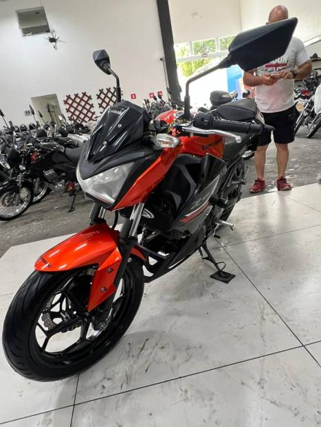 KAWASAKI Ninja 300 , Foto 4