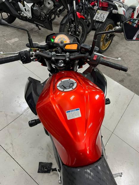KAWASAKI Ninja 300 , Foto 6