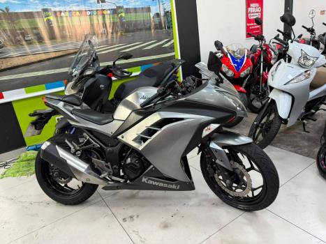 KAWASAKI Ninja 300 , Foto 2