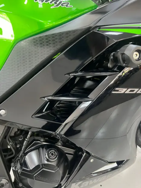 KAWASAKI Ninja 300 ABS, Foto 9
