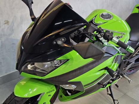 KAWASAKI Ninja 300 ABS, Foto 10