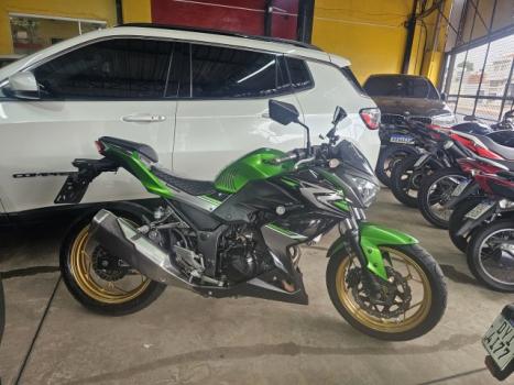 KAWASAKI Z 300 , Foto 5