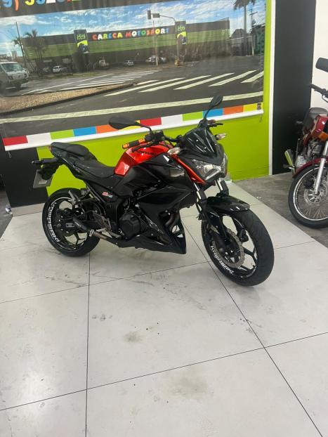 KAWASAKI Z 300 , Foto 1