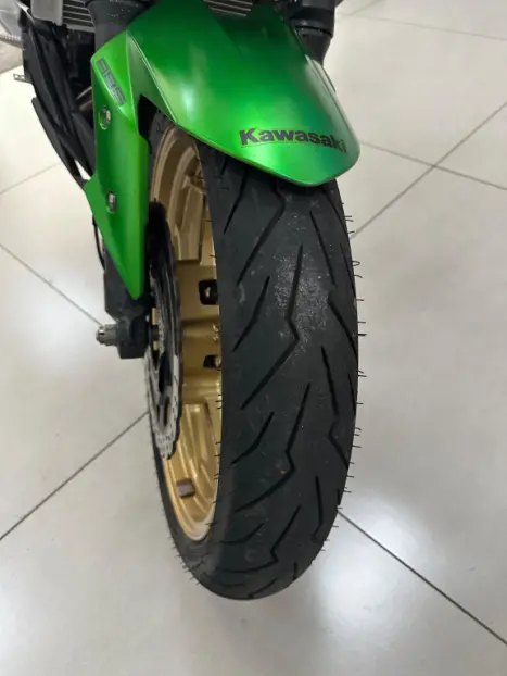 KAWASAKI Z 300 ABS, Foto 10