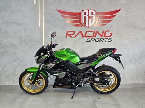 KAWASAKI Z 300 ABS, Foto 2