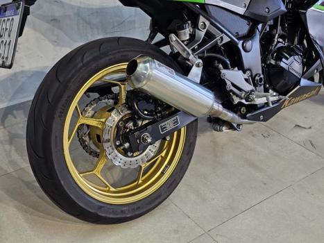 KAWASAKI Z 300 ABS, Foto 13