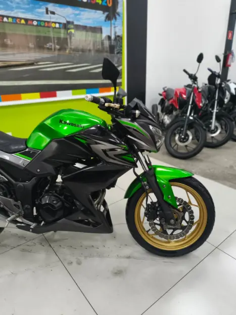 KAWASAKI Z 300 ABS, Foto 2
