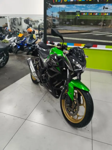 KAWASAKI Z 300 ABS, Foto 4