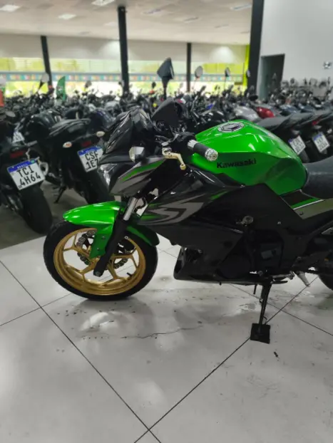 KAWASAKI Z 300 ABS, Foto 5