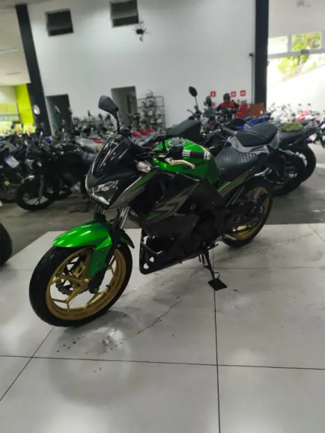 KAWASAKI Z 300 ABS, Foto 6