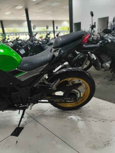 KAWASAKI Z 300 ABS, Foto 7