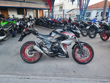 KAWASAKI Z 300 ABS, Foto 1