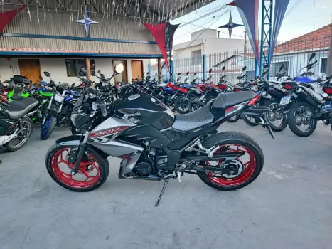 KAWASAKI Z 300 ABS, Foto 3