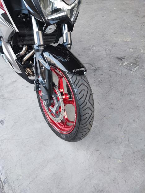 KAWASAKI Z 300 ABS, Foto 5