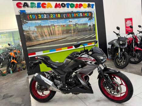 KAWASAKI Z 300 ABS, Foto 1