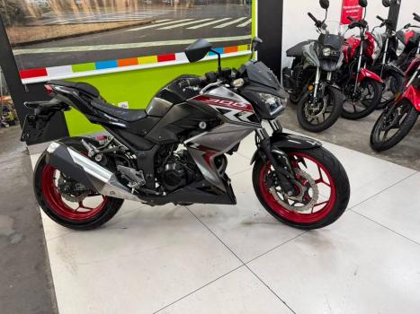 KAWASAKI Z 300 ABS, Foto 2