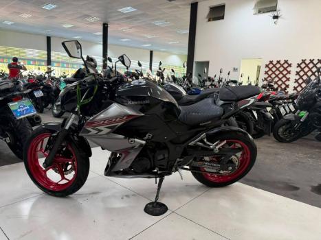 KAWASAKI Z 300 ABS, Foto 7