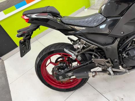 KAWASAKI Z 300 ABS, Foto 2