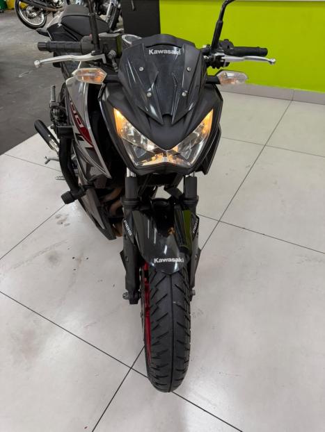KAWASAKI Z 300 ABS, Foto 3